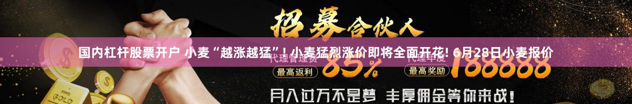 国内杠杆股票开户 小麦“越涨越猛”! 小麦猛烈涨价即将全面开花! 6月28日小麦报价