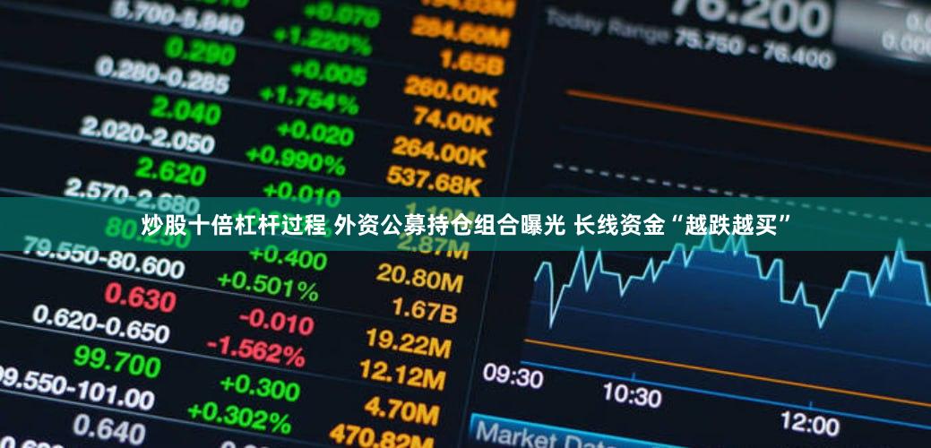 炒股十倍杠杆过程 外资公募持仓组合曝光 长线资金“越跌越买”