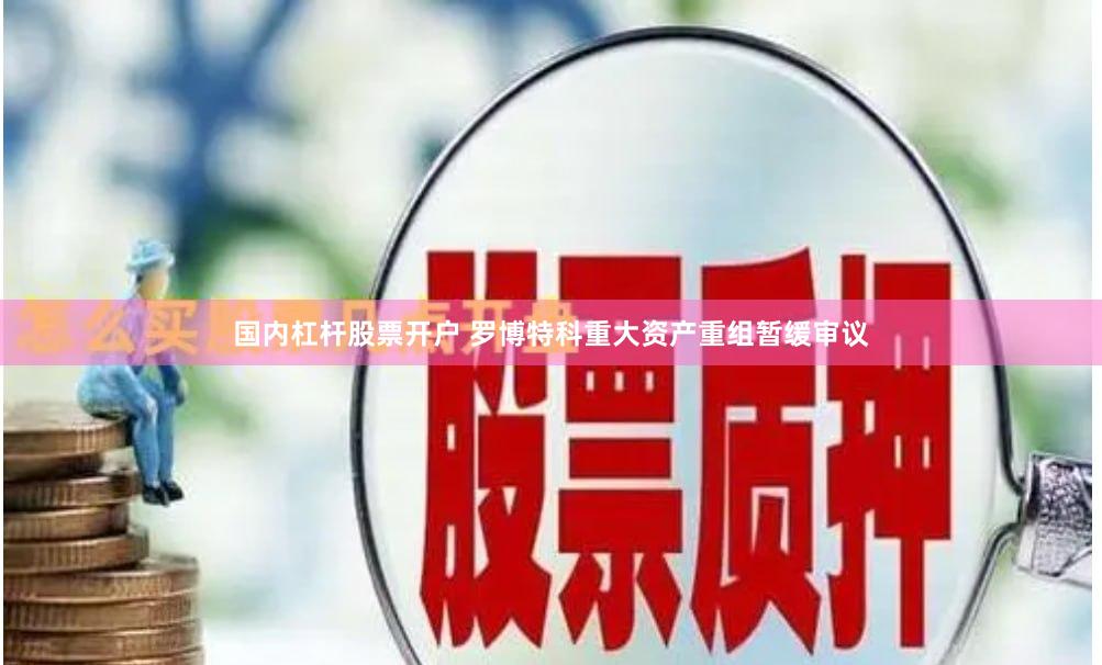 国内杠杆股票开户 罗博特科重大资产重组暂缓审议