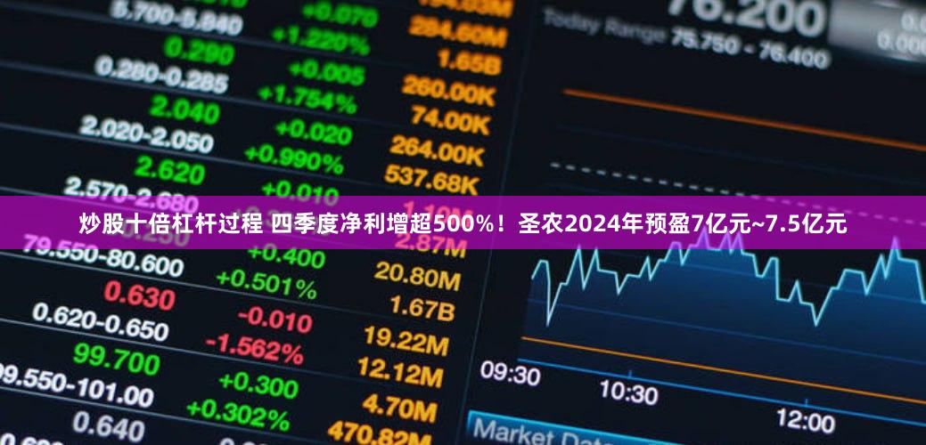炒股十倍杠杆过程 四季度净利增超500%！圣农2024年预盈7亿元~7.5亿元