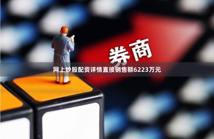 网上炒股配资详情直接销售额6223万元