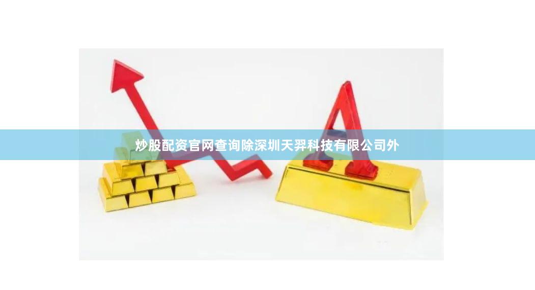 炒股配资官网查询除深圳天羿科技有限公司外