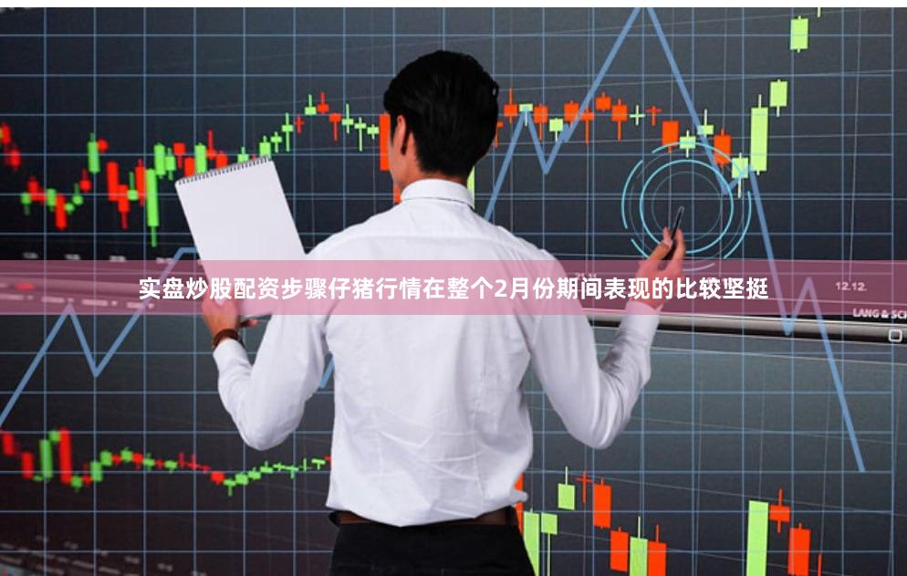 实盘炒股配资步骤仔猪行情在整个2月份期间表现的比较坚挺